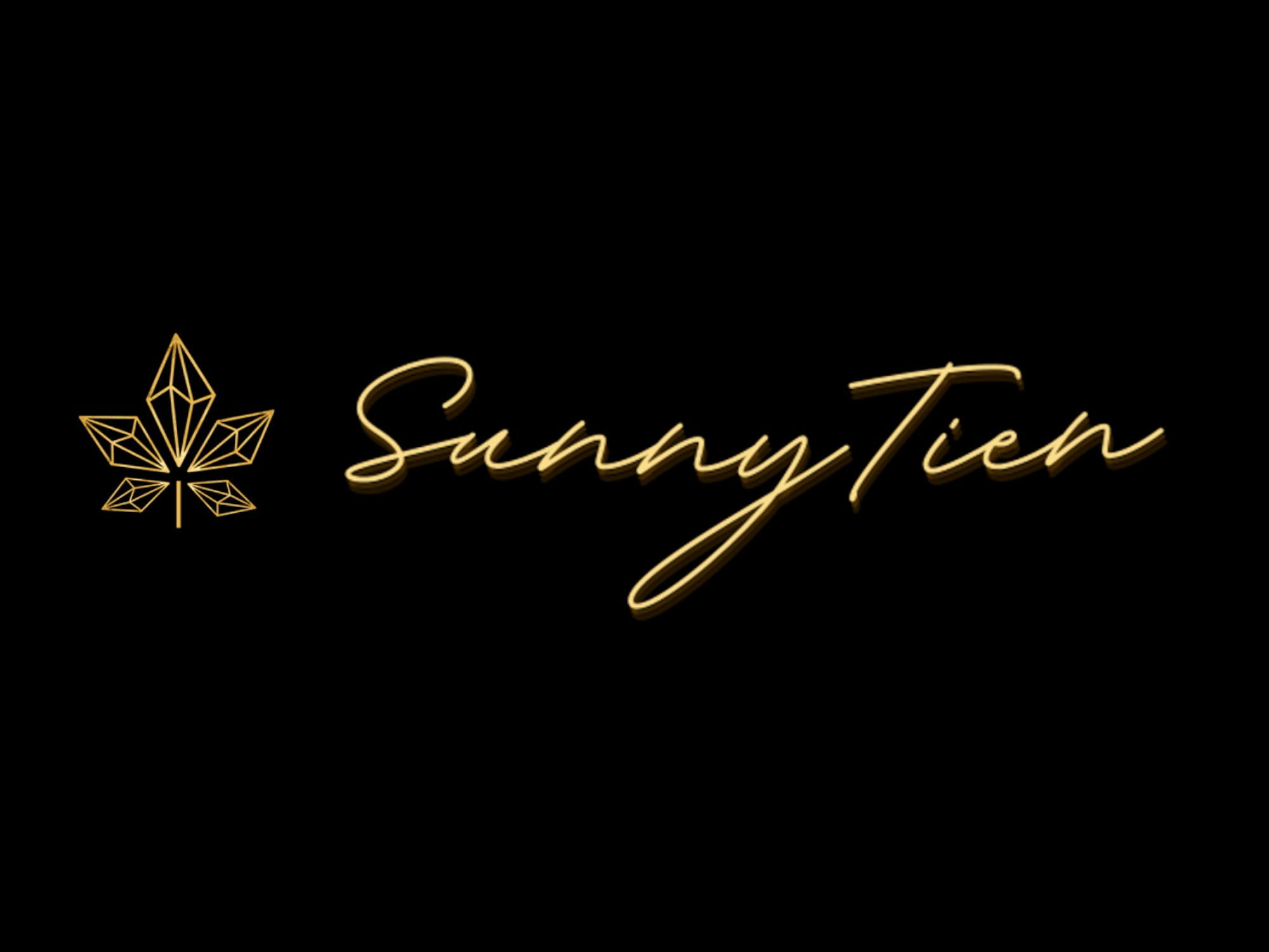 Sunny Tien - Logo