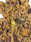 Sunset Cookies Hybrid Cannabis Strain Thumbnail