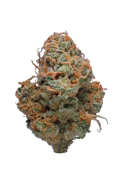 Sunset Haze - Híbrido Cannabis Strain