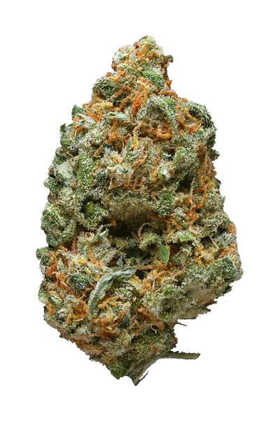 Super Green Crack - Hybrid Cannabis Strain