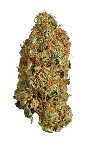 Super Jack - Sativa Cannabis Strain