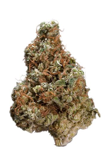 Super Kush - Hybrid Cannabis Strain