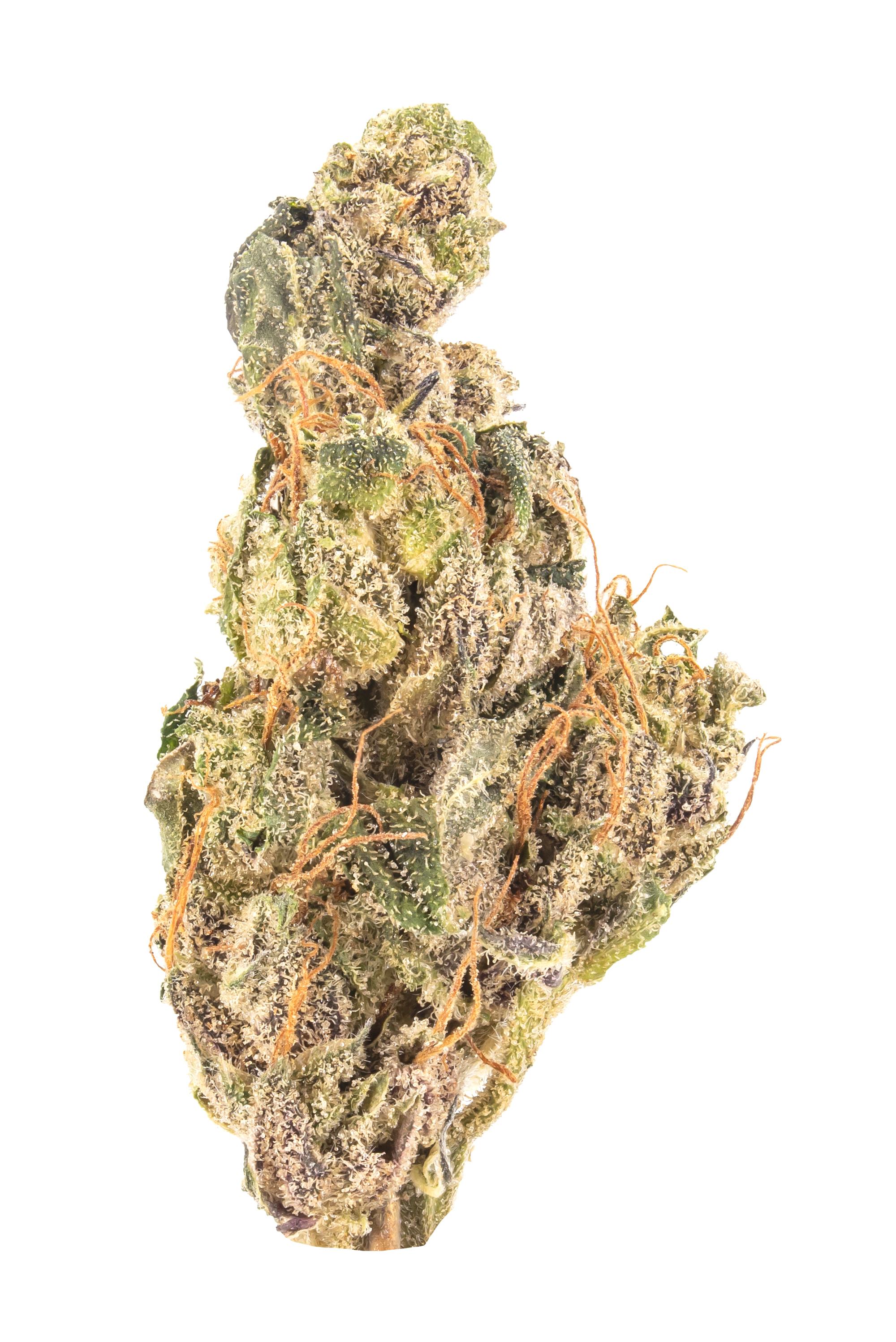 Super Purple Kush - Indica Cannabis Strain