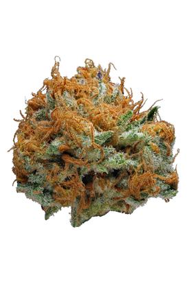 Super Razz OG - Hybrid Cannabis Strain