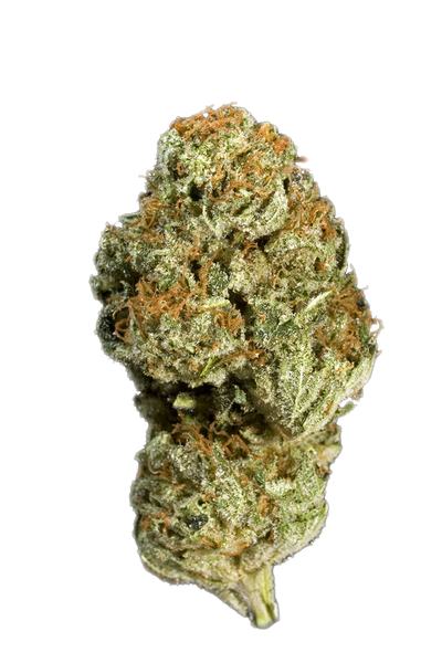 Supergirl - Hybrid Cannabis Strain