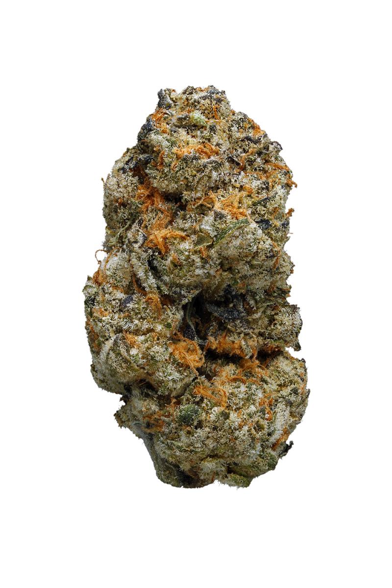 Supermax OG - hybrid Cannabis Strain by Hytiva