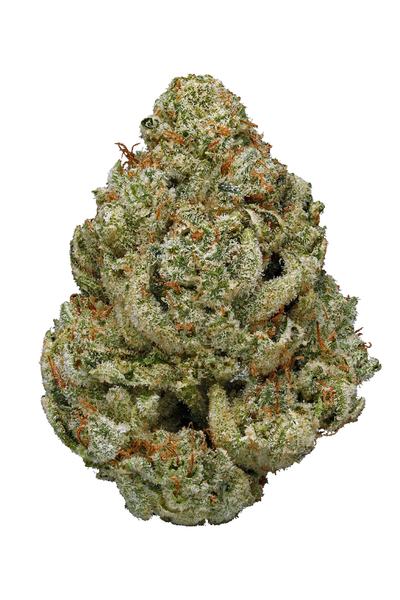 Supernatural - Hybrid Cannabis Strain