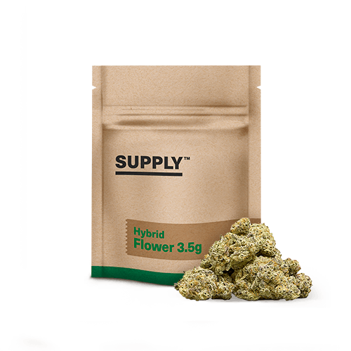 Hybrid Flower Product Image