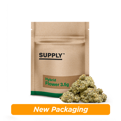 Hybrid Flower Product Image