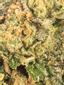 Supreme Diesel Hybrid Cannabis Strain Thumbnail