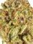Supreme Grapes Hybrid Cannabis Strain Thumbnail