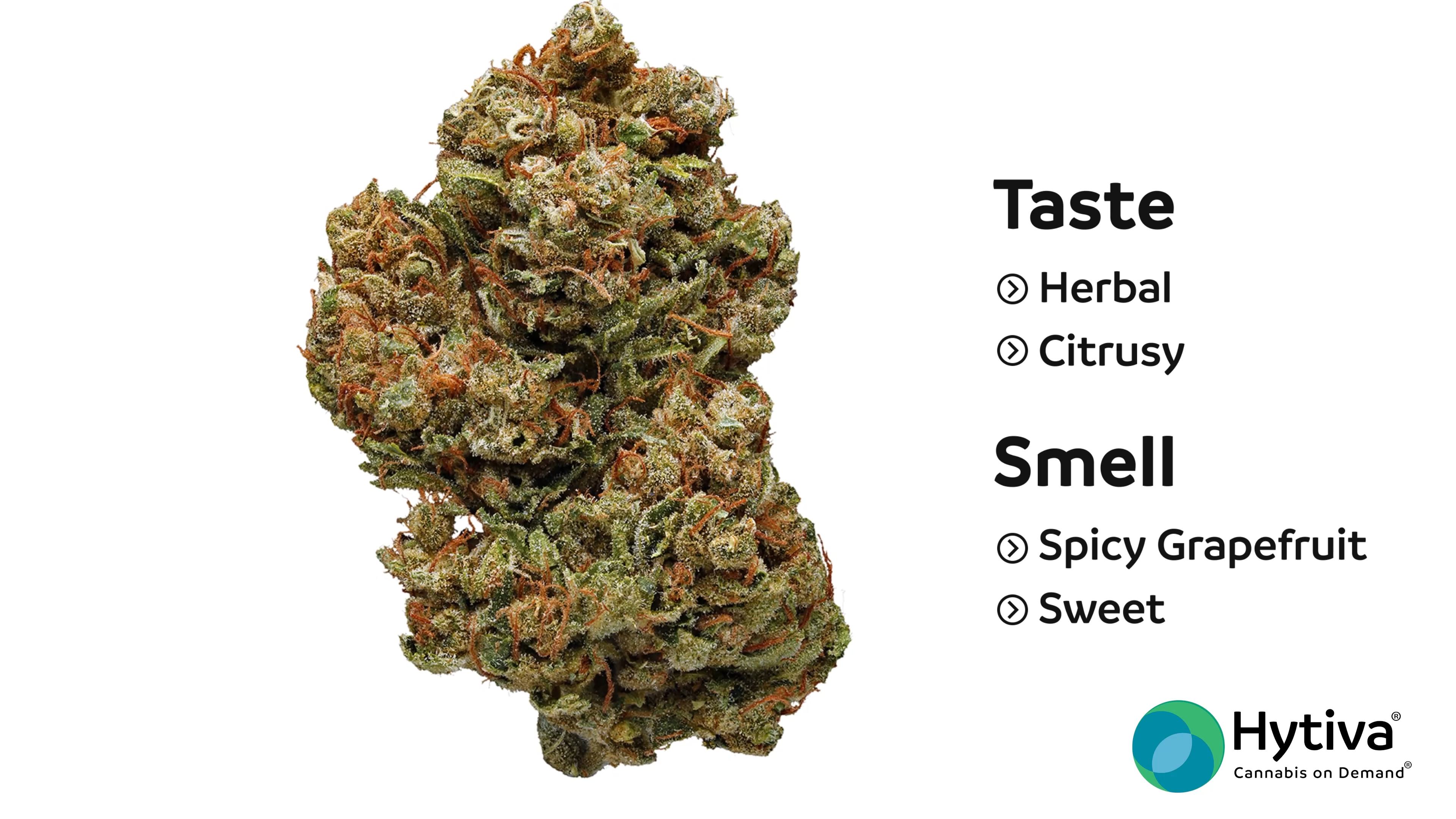 Sweet and Sour - Hybrid Strain