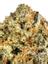 Sweet Bubba Kush Hybrid Cannabis Strain Thumbnail