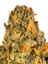 Sweet Sunset Hybrid Cannabis Strain Thumbnail