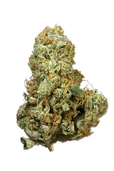 Sweet Williams - Híbrida Cannabis Strain