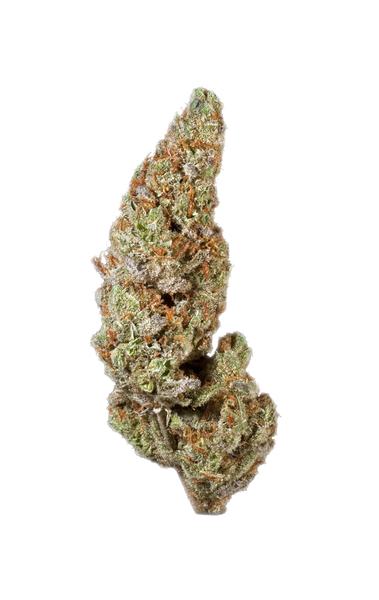 Swiss Cheese - Hybrid Cannabis Strain