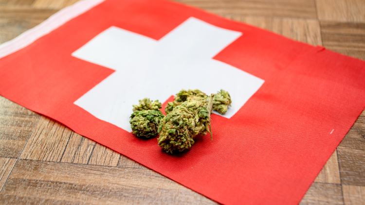 Switzerland Moves Forward with Cannabis in All its Forms