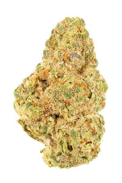 T MAC - Híbrida Cannabis Strain