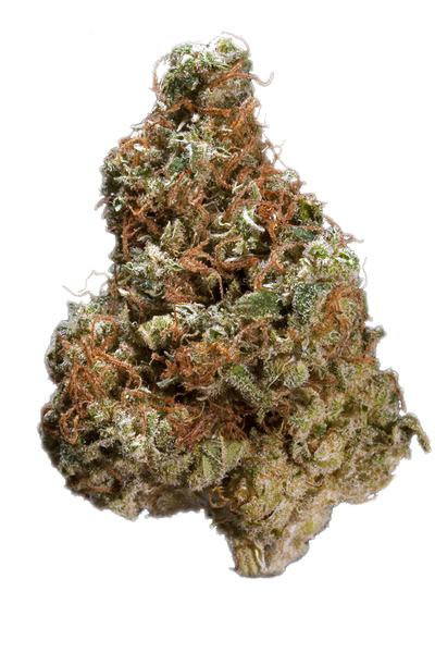 Tahoe Alien - Híbrida Cannabis Strain