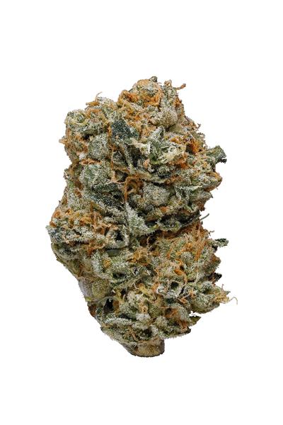 Tahoe Cheese - Híbrido Cannabis Strain