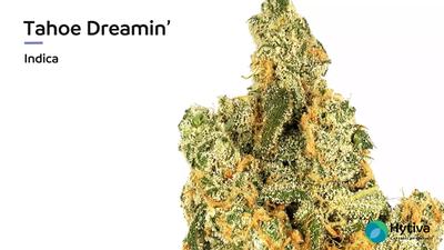 Tahoe Dreamin - Hybrid Strain