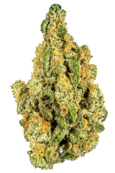 Tahoe Dreamin - Hybrid Cannabis Strain