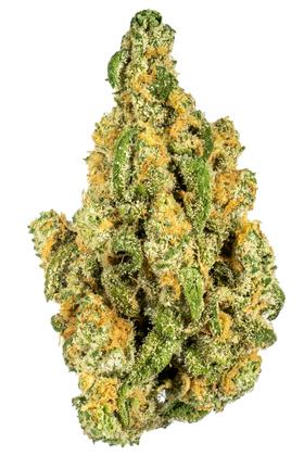 Tahoe Dreamin - Hybrid Cannabis Strain