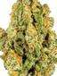 Tahoe Dreamin Hybrid Cannabis Strain Thumbnail