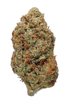Tahoe OG Kush - 混合物 Cannabis Strain