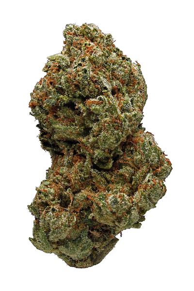 Tangerine - Hybrid Cannabis Strain