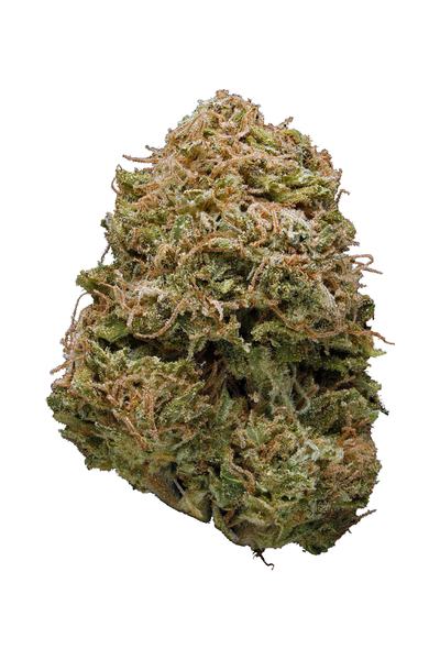 Tangerine Diesel - Hybrid Cannabis Strain