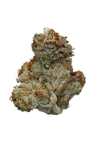 Tangerine Man - Hybrid Cannabis Strain