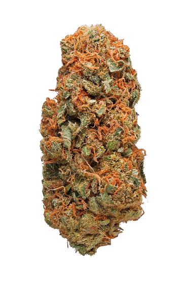 Tangilope - Sativa Cannabis Strain