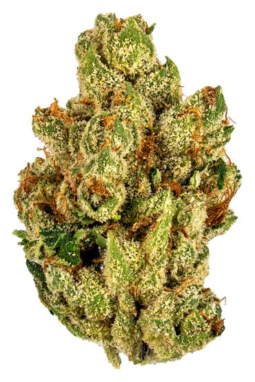 Tangy Tahoe - Hybrid Cannabis Strain