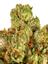 Tangy Tahoe Hybrid Cannabis Strain Thumbnail