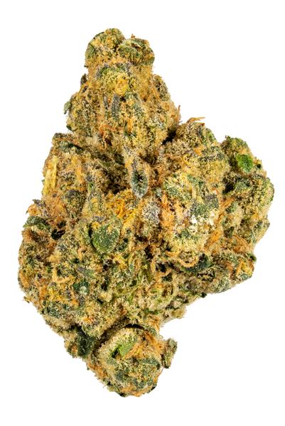 Tangy Z - Hybrid Cannabis Strain