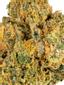 Tangy Z Hybrid Cannabis Strain Thumbnail