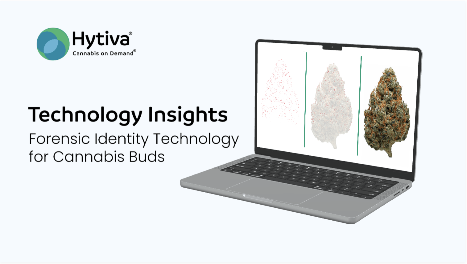 Forensic Identity to Secure Cannabis Photos: Hytiva's Innovative Approach