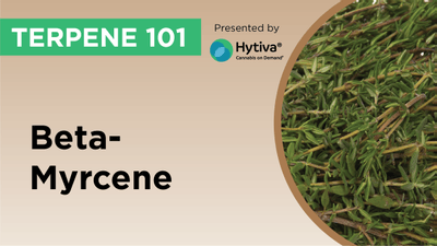 Myrcene : Know Your Terpenes