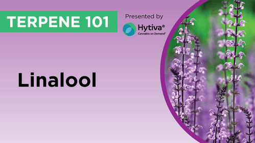 Linalool : Know Your Terpenes