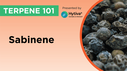 Sabinene : Know Your Terpenes