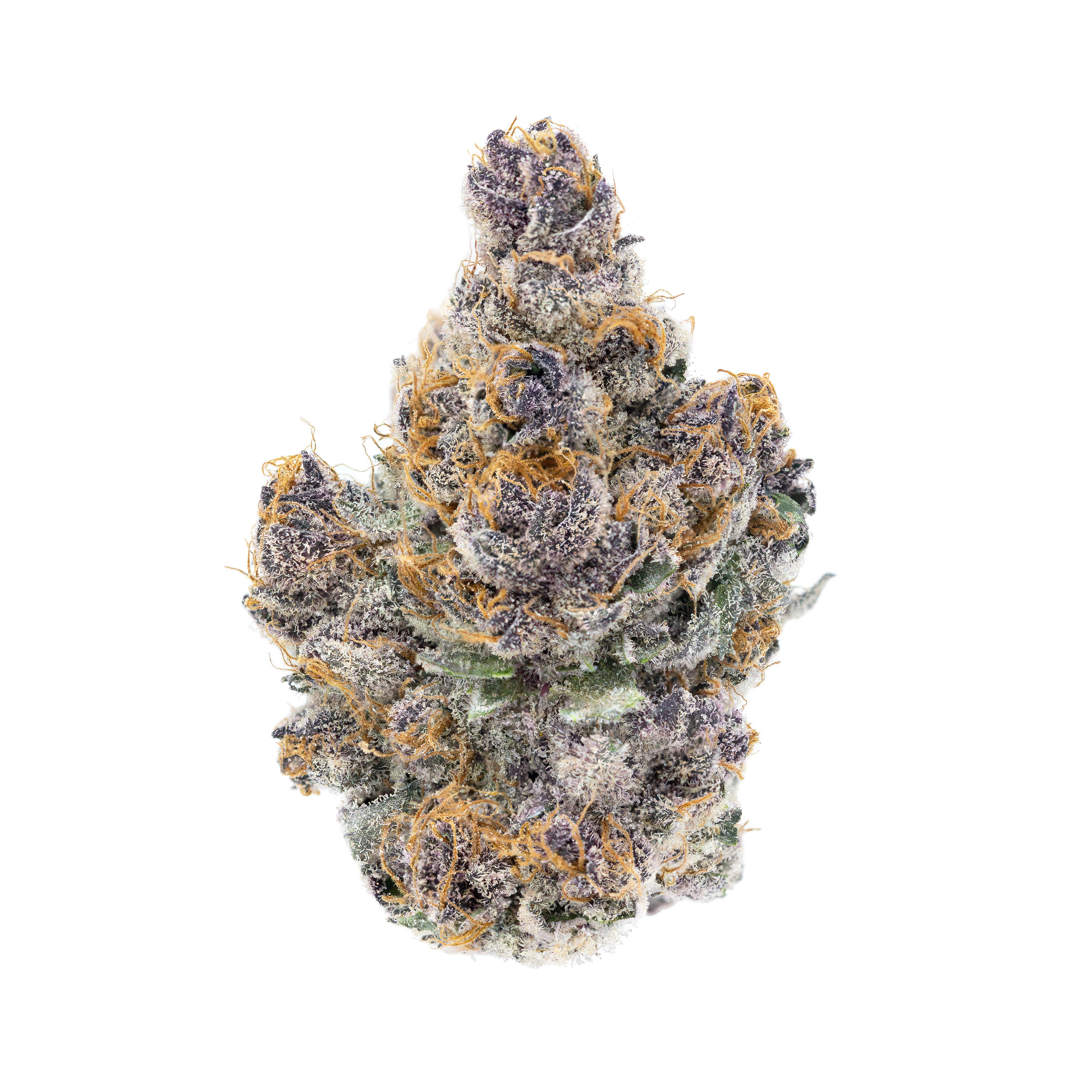 Adios Mother Trucker Product Image