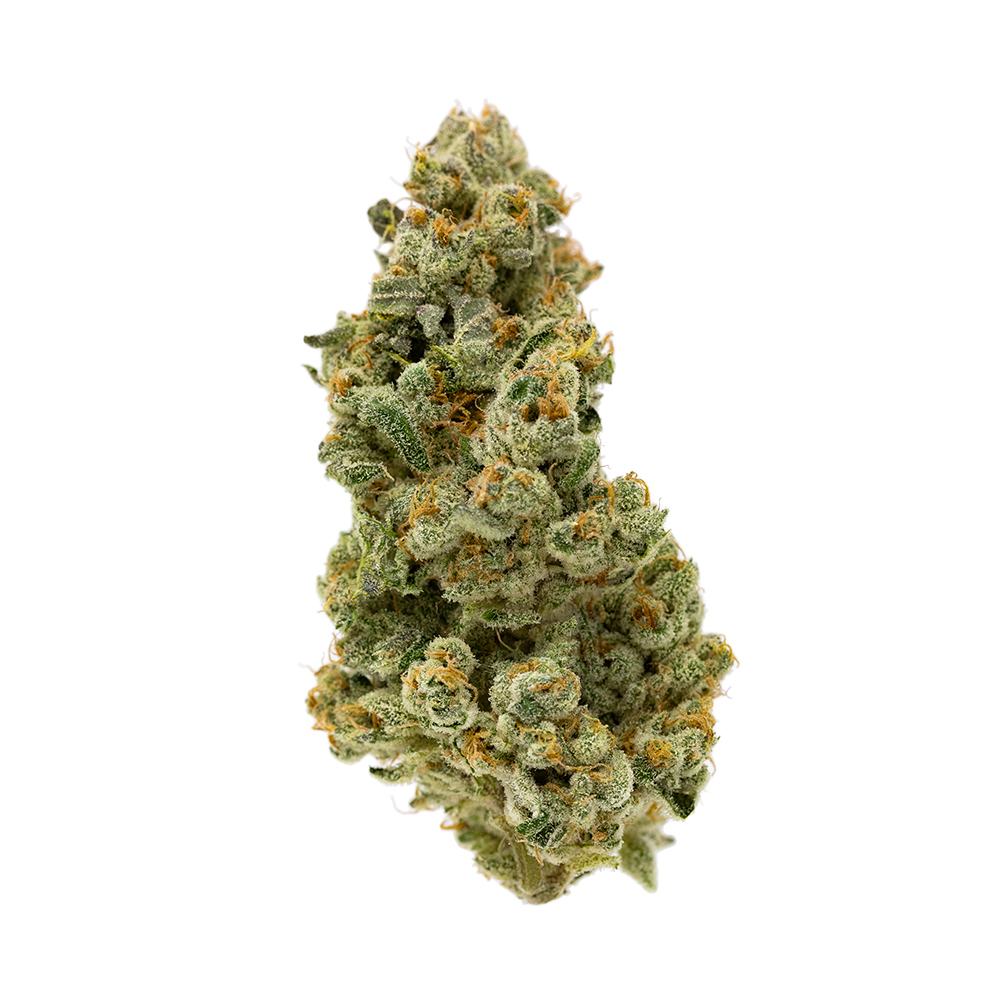 Alien Beans Product Image