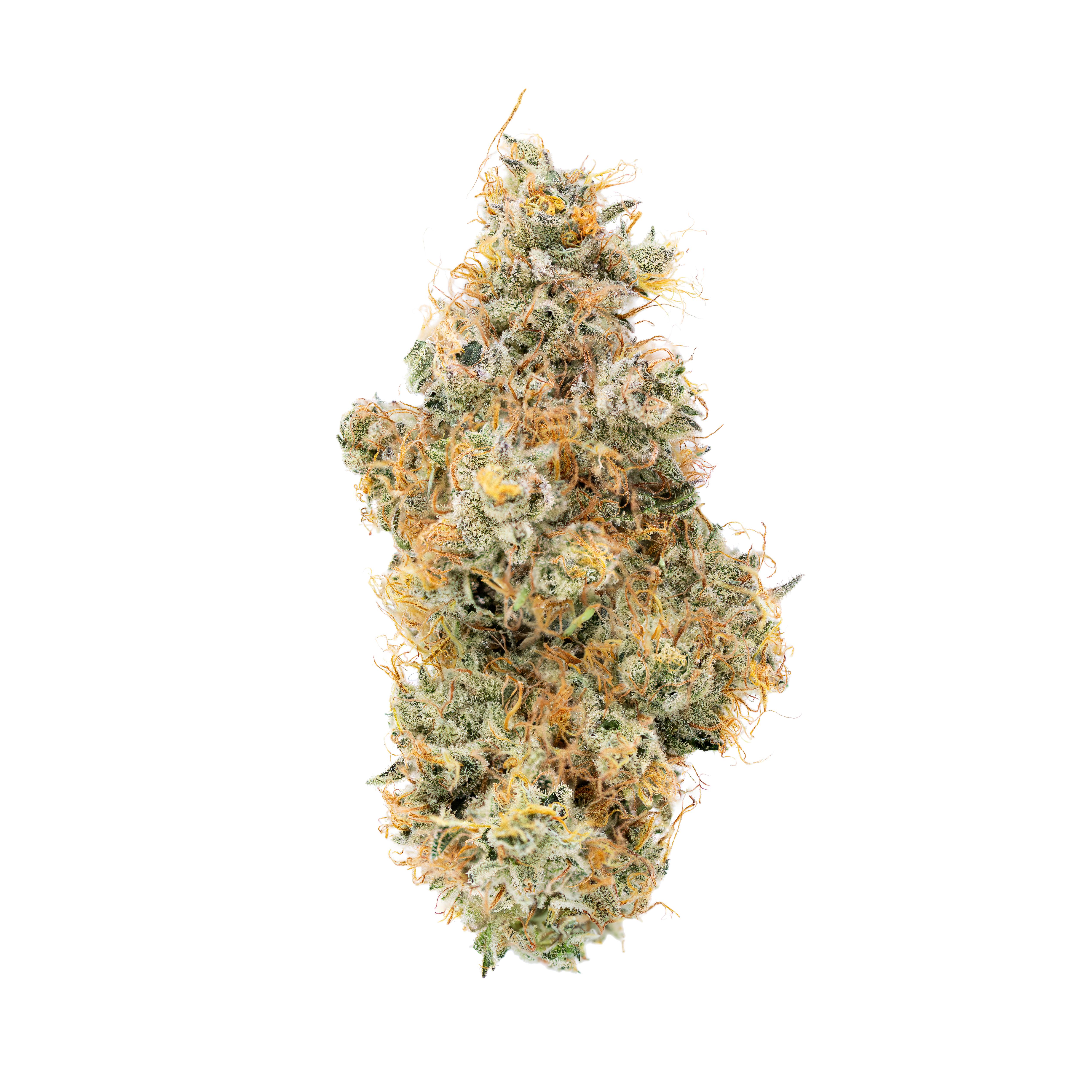 Alien Rift Product Image