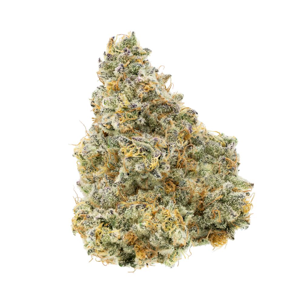 Animal Tree Product Image