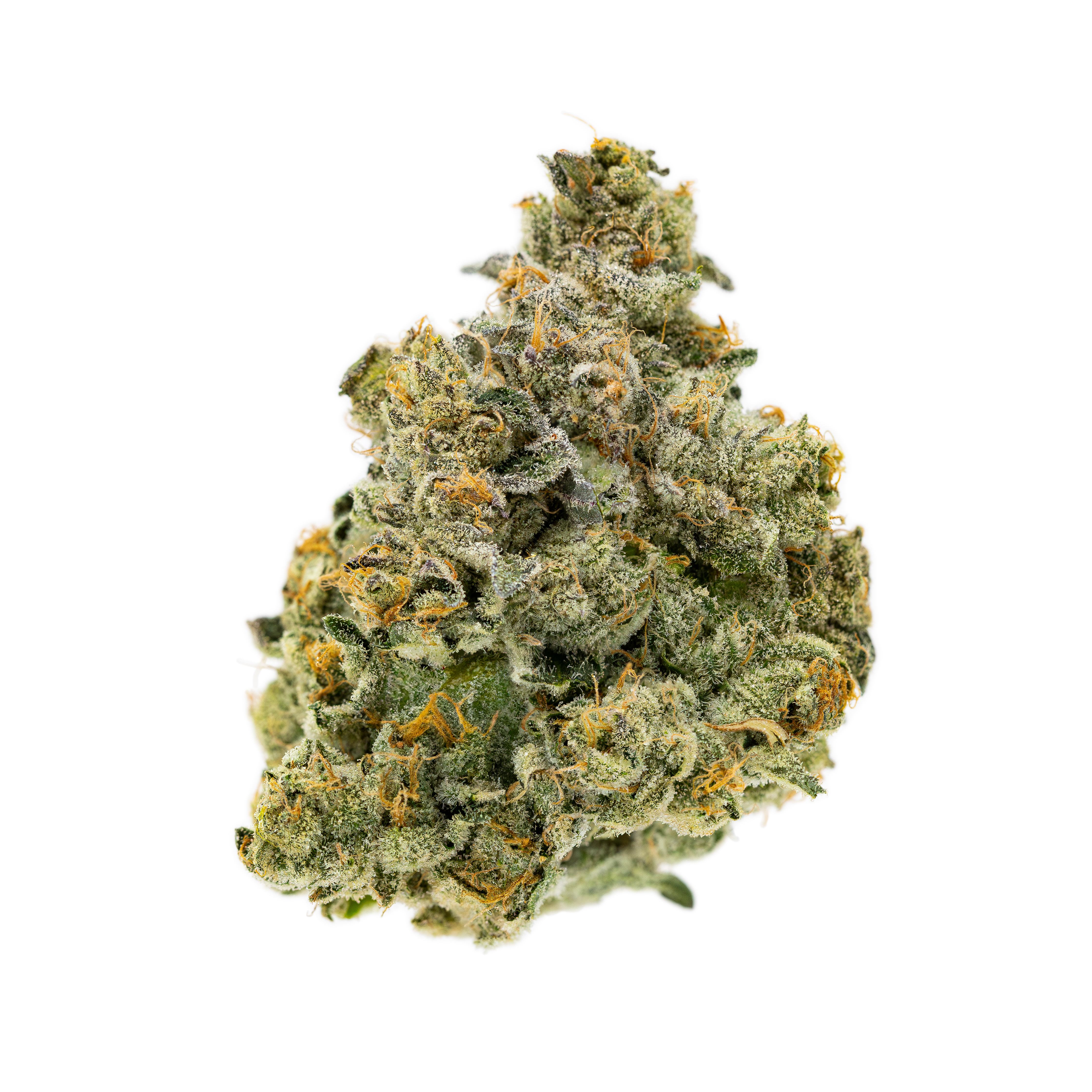 Baby Jokerz Product Image