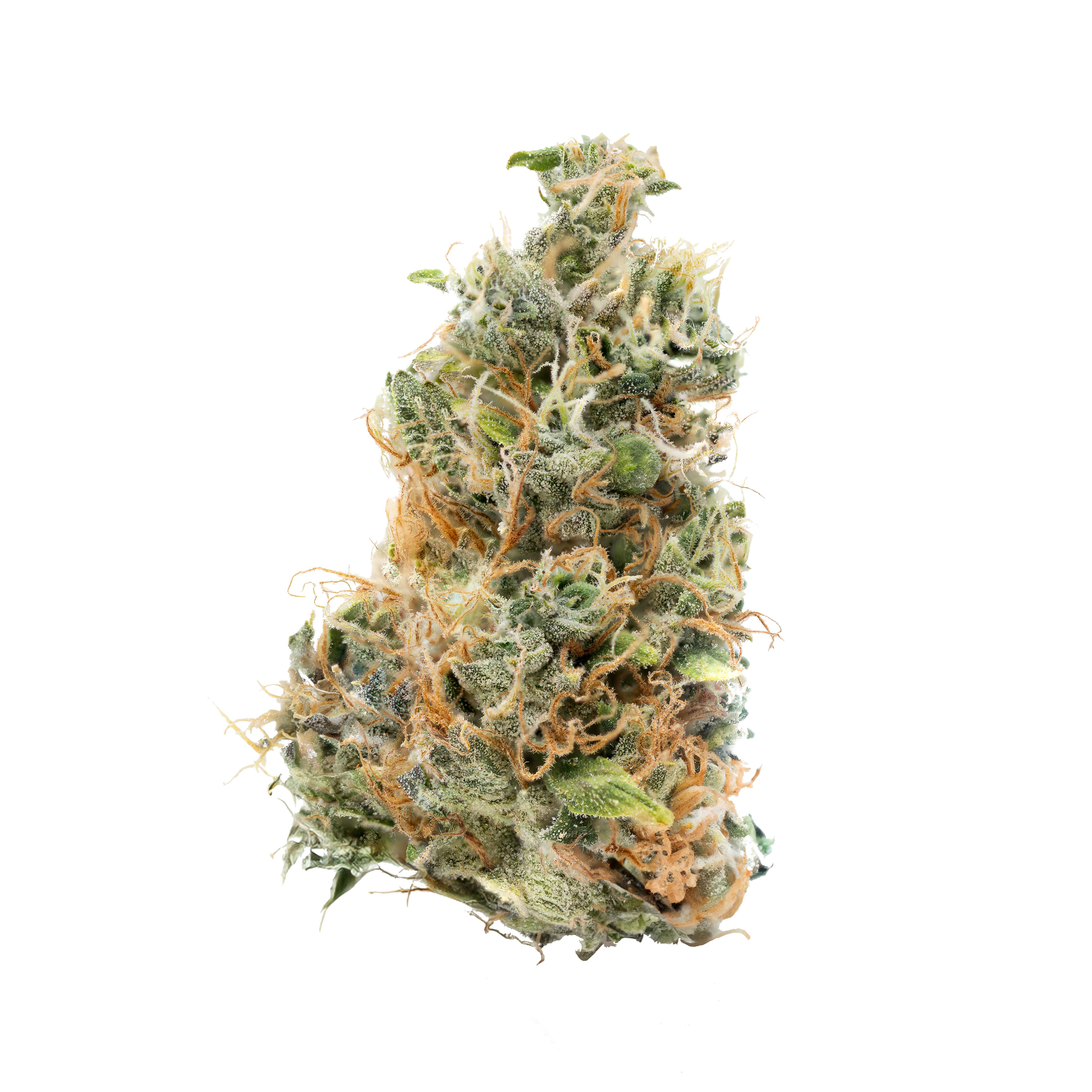 Blue Dream Santa Cruz (SC) Product Image