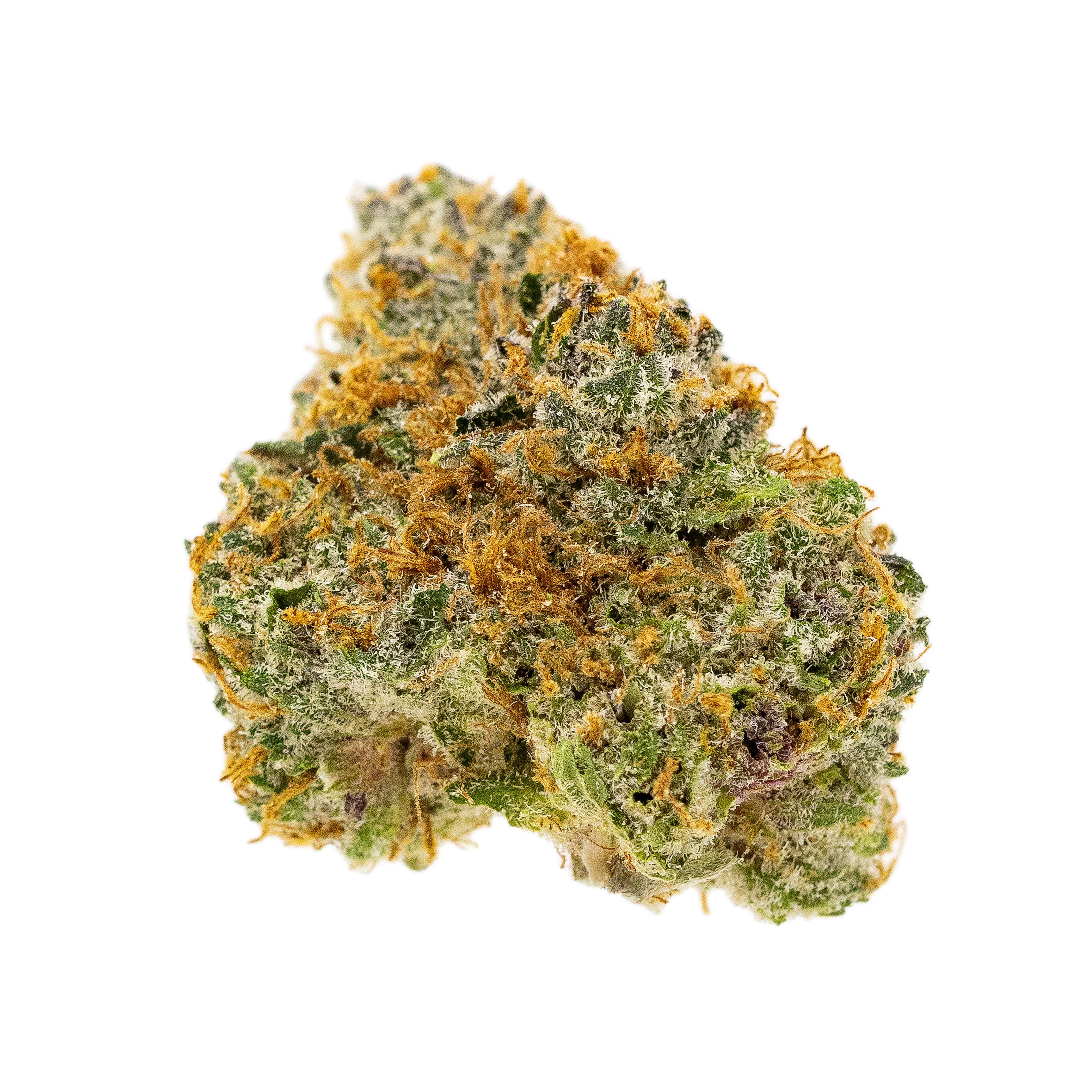 Bubba Pupil Product Image