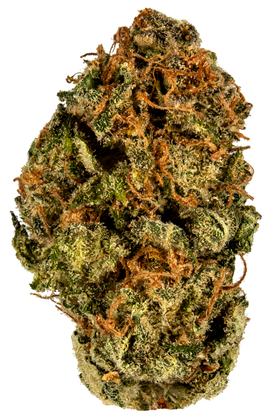THC Bomb - Hybrid Cannabis Strain