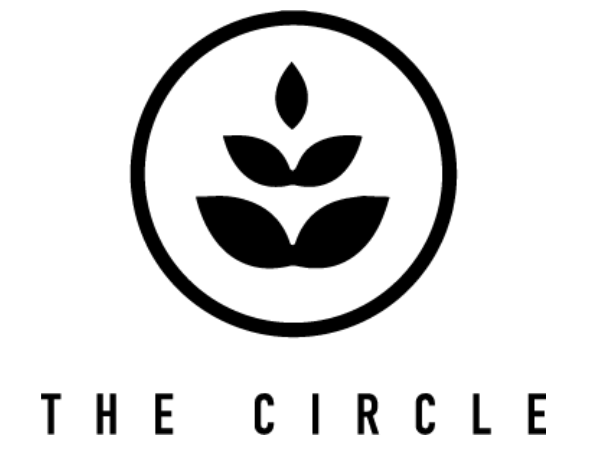 The Circle Logo